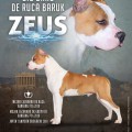 BIG BANK DE RUCA BARUK BIG BANK DE RUCA BARUK