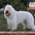 OBEREG ROSSII AVANTYURIN LUCHEZARNYI OBEREG ROSSII AVANTYURIN LUCHEZARNYI