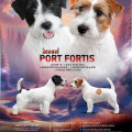 PORT FORTIS X... LITTER PORT FORTIS X... LITTER