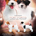 PORT FORTIS Y... LITTER PORT FORTIS Y... LITTER