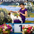 DAZZLING MOMENT ALMAZ DAZZLING MOMENT ALMAZ