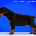YUDGARD UCHCHI UAIT IZ MARIALGRADA YUDGARD UCHCHI UAIT IZ MARIALGRADA