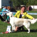 EVVIVA KAROLINA VLANTI DELIMAR EVVIVA KAROLINA VLANTI DELIMAR