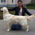 POLETTE VLANTI DELIMAR POLETTE VLANTI DELIMAR
