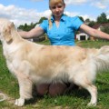 SANSIBEL VLANTI DELIMAR SANSIBEL VLANTI DELIMAR