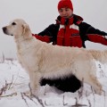 ORNELLA SNOWLY QUEEN