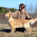 HUNTER FOR DREAM DYNAMIC LIBRARY HUNTER FOR DREAM DYNAMIC LIBRARY