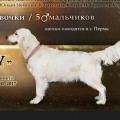 LUNNAYA MELODIYA STILNAYA SHTUCHKA LUNNAYA MELODIYA STILNAYA SHTUCHKA