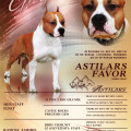 ASTILARS  FAVOR