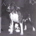 MAGNOLIA'S LADY SOPHIA OF BC