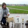 EZHEVICHNYJ DZHEM