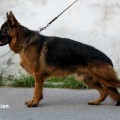 NEYMAR VON CASPIAN NEYMAR VON CASPIAN