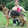 YUKON VON DER BASTILLIE
