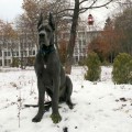 BARRI BARHAN IZ MIRA MOIH GREZ BARRI BARHAN IZ MIRA MOIH GREZ