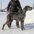 LAUFER FROSIA BURLAKOVA