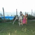CHEMPION MOEGO SERDTSA KOKO SHANEL'