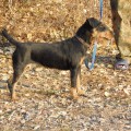 URAL HANTER RAI'DA URAL HANTER RAI'DA
