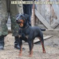 AKBEON MESSER