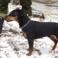 URAL HANTER YURMICH URAL HANTER YURMICH