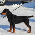 AKBEON VLASTA