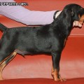 AKBEON CHERCHIL'