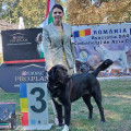 ERGUL GRUODAS