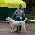 YULGIZ SHEKSNA