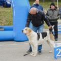 VASABI IZ DOMA UVAROVIH VASABI IZ DOMA UVAROVIH