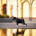 BALOVEN' SUD'BY