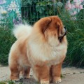ITS MY LOVE DUKE OF MY HEART ITS MY LOVE DUKE OF MY HEART