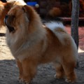 ITS MY LOVE ENZO ITS MY LOVE ENZO