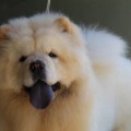 ITS MY LOVE SOPHIE ITS MY LOVE SOPHIE