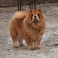 ITS MY LOVE LUCY ITS MY LOVE LUCY