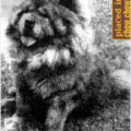 CONSUL VON HUNG-KAI