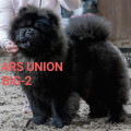 AGNI ARS UNION