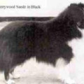 SKERRYWOOD SUEDE IN BLACK