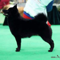 WINTERRA CASSIOPEIA SCHEDAR WINTERRA CASSIOPEIA SCHEDAR