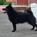 ROSSMEL KRIMKHILDA ROSSMEL KRIMKHILDA