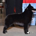 ALTIN TAY MY DREAM IN BLACK ALTIN TAY MY DREAM IN BLACK