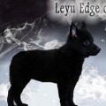 LEYU EDGE OF MY HEART NB LEYU EDGE OF MY HEART NB