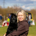 DREAM CANIS MAJOR INGRID 2