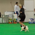 MIINA SHIGA JP MIYABI MIINA SHIGA JP MIYABI