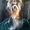 BEAUTY EL DIVA BEAUTY EL DIVA