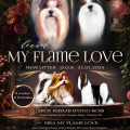 MY FLAME LOVE TAKERA MY FLAME LOVE TAKERA