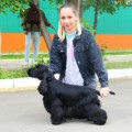 CHEHOV IZ KOROLEVSTVA ANNY