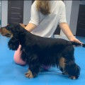GRETTA IZ KOROLEVSTVA ANNY