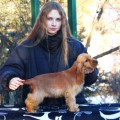 GAVANNA IZ KOROLEVSTVA ANNY