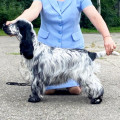 YAROMIRA IZ KOROLEVSTVA ANNY