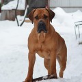YANTARNY BEREG AH KAKAYA LAPOCHKA