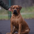 YANTARNY BEREG KRASAVITCA MANYUNYA